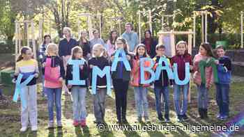 Das Bertha-von-Suttner-Gymnasium in Pfuhl hat jetzt einen neuen Baumhain
