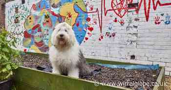Wirral refugees create 'empowering' mural with reused paint