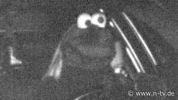 Blitzerfoto geht viral: Fahrzeughalter bezahlt Krümelmonster-Knöllchen