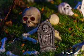 Party, Konzert oder Kino: Das ist an Halloween in Münster los