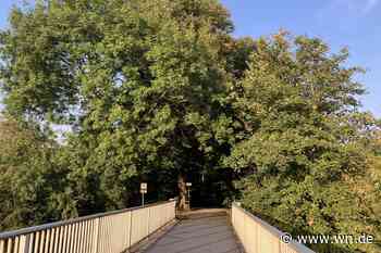 Kanal-Ausbau: Am Prozessionsweg wird es ernst