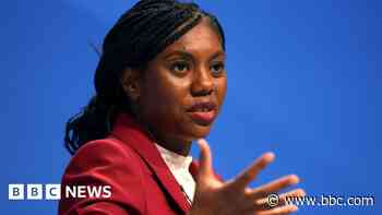 Christchurch MP Chope criticised for Badenoch children comment