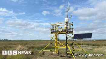 Monitoring tower to solve salt marsh carbon mystery