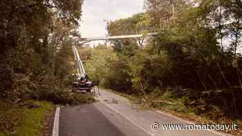 Via Portuense, la chiusura si poteva evitare: le prime verifiche sugli alberi chieste 5 anni fa