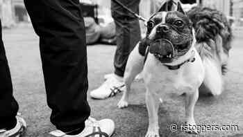 Fast and Reliable Camera Techniques for Street Photography