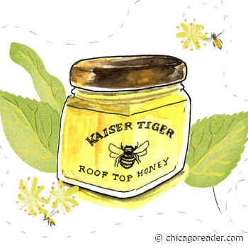 Kaiser Tiger rooftop honey