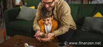 Tagesgeld-Hammer: 3,65 % bei TF Bank!