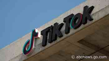 TikTok let through disinformation in political ads despite its own ban, Global Witness finds