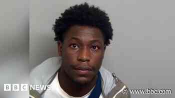 Driver jailed for digger crash that killed woman