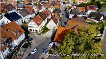 Wahl in Haiterbach: Fünf Fragen an die Bürgermeister-Kandidaten