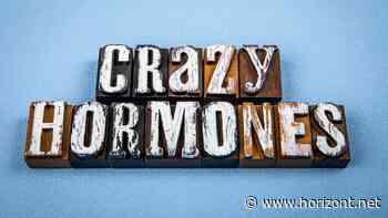 Wechseljahre und Arbeitswelt: Am Welt-Menopausentag ruft Publicis die Menolution aus