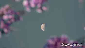 Wochenendhoroskop: Diese 3 Sternzeichen haben vom 19. bis 20. Oktober Glück