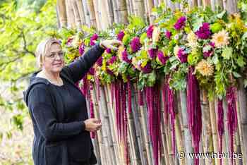 Els neemt Japanse Tuin onder handen voor chrysantenfestival: “Mensen komen spontaan helpen”