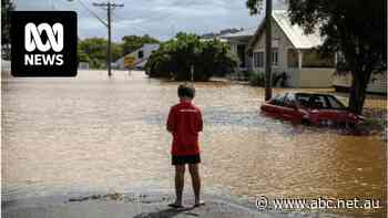 Calls to ban flood-prone housing as federal flood insurance inquiry finds companies 'failed too many people'