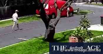 Going postal: Council ballot papers stolen in Australia Post van theft