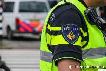 Loslopend paard op 60-weg richting Roden