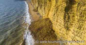 PICTURES: Massive rockfall at west Dorset beach