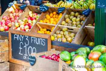 New £1.5m grant scheme for Northern Irish rural micro firms