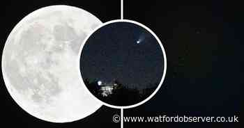 Supermoon, comet and Elon Musk's satellites spotted over Watford