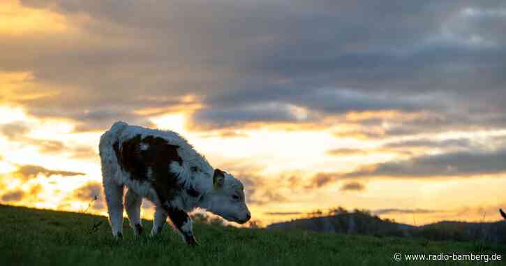 Mildes Herbstwetter mit Sonne, Wolken und Regen