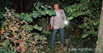 Bruce Campbell on ‘Hysteria!’ and Why the Satanic Panic Never Ended