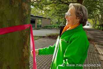 Putte en deelgemeenten kleuren roze tijdens borstkankermaand: “Werken aan bekendheid van lotgenotenvereniging Neo-Ma”