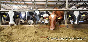 Wit-Rusland zoekt export via online beurs