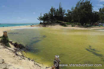 Health department and city settle over wastewater violations at Kailua Bay