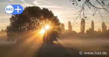 Hannover: Mann will Sonnenaufgang genießen und löst Autobahnsperrung aus