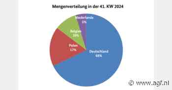 'Duitse bloemkool domineert handel'