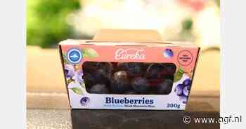 Nieuwe plasticvrije verpakking voor blauwe bessen