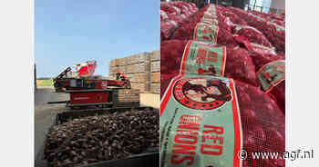 "Er wordt continu gezocht naar een balans tussen de rode en gele uien"