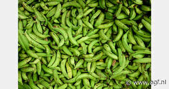 Vertraging Peruaanse bananenexport in september