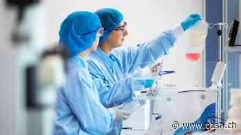 Der Jahresbeste glänzt erneut: Diese Aktie dominiert diese Woche den SMI