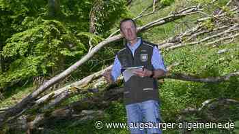 Forstamt zieht Bilanz zum EU-Projekt Future Forest