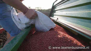 Weerberichten leggen een bodem in de granenmarkt