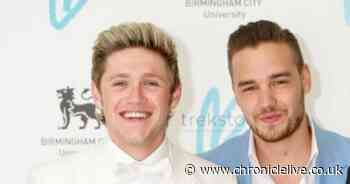 One Direction's Niall Horan shares heartbreaking details of final night with Liam Payne