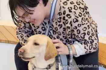 Yorkshire student with assistance dog 'refused' entry to shops