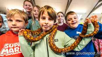 Veel activiteiten bij Kinderboerderij De Goudse Hofsteden tijdens de herfstvakantie