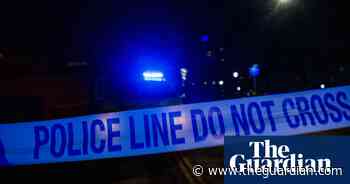 Pregnant woman and unborn child killed in collision with Met police car