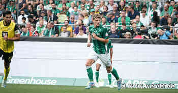 Stage & Alvero fallen aus