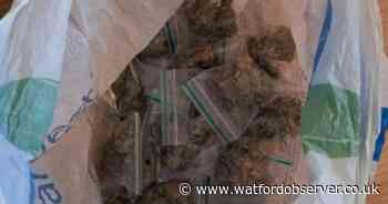 Man arrested for cocaine and cannabis possession after drugs bust