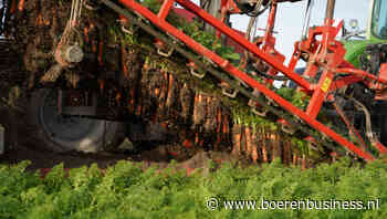 De schrik van vorig jaar zit er bij peentelers nog in