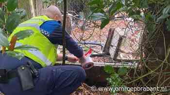 112-nieuws: loslopende geiten gevangen in Vught • brandschade in flat groot