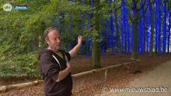 De Grote Schijn tovert Rivierenhof om tot onderwaterwereld