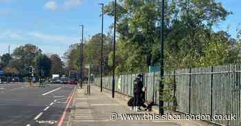 Pregnant woman’s death is second fatal on same Eltham road in three weeks