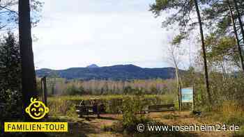 Ein Eldorado für Vogelfreunde: Rund ums Ainringer Moos
