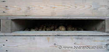 Biotelers aardappelen en uien kijken het nog aan