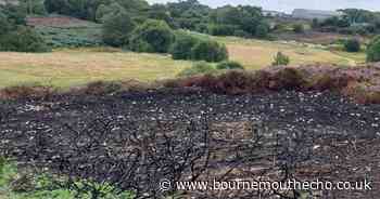 Teenage boy forced to work with fire service after admitting part in deliberate blaze