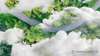 Diese nachhaltigen Schweizer Unternehmen bieten auch Kursrenditen